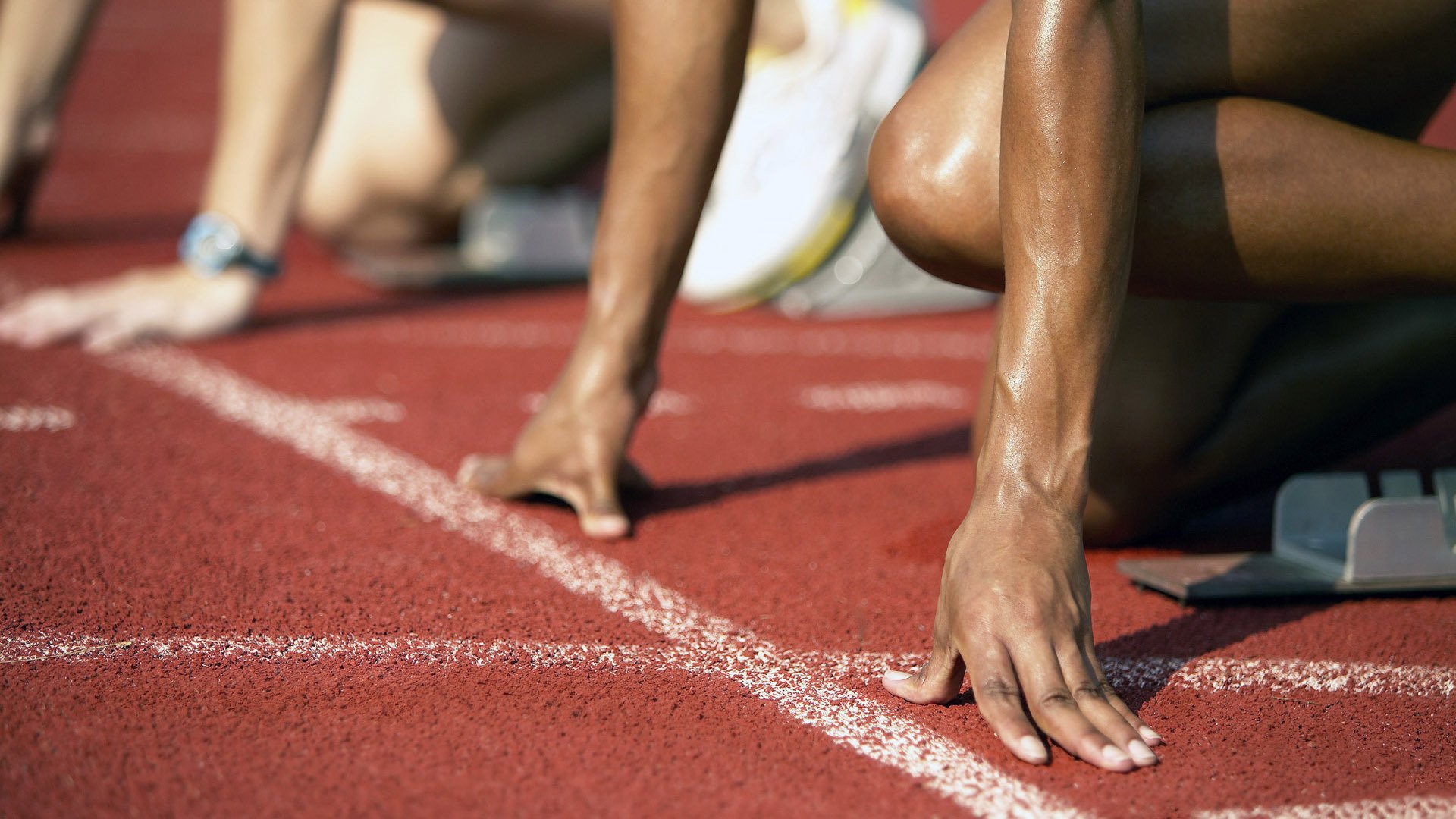 华体会官方网站首页-美国马术协会授予斯蒂芬·彼得斯“年度最佳教练员”称号。