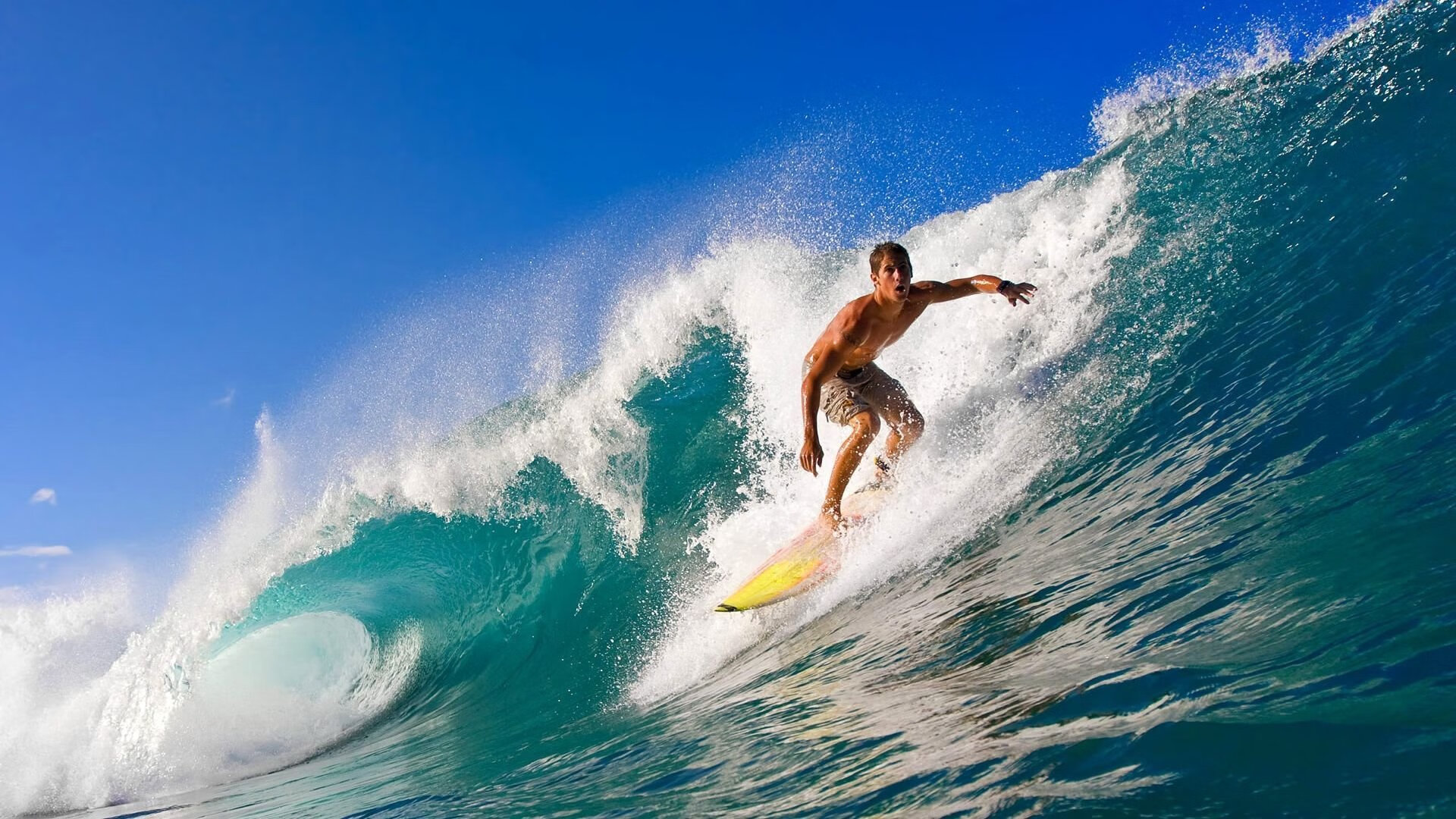 美国马术协会授予斯蒂芬·彼得斯“年度最佳教练员”称号。
