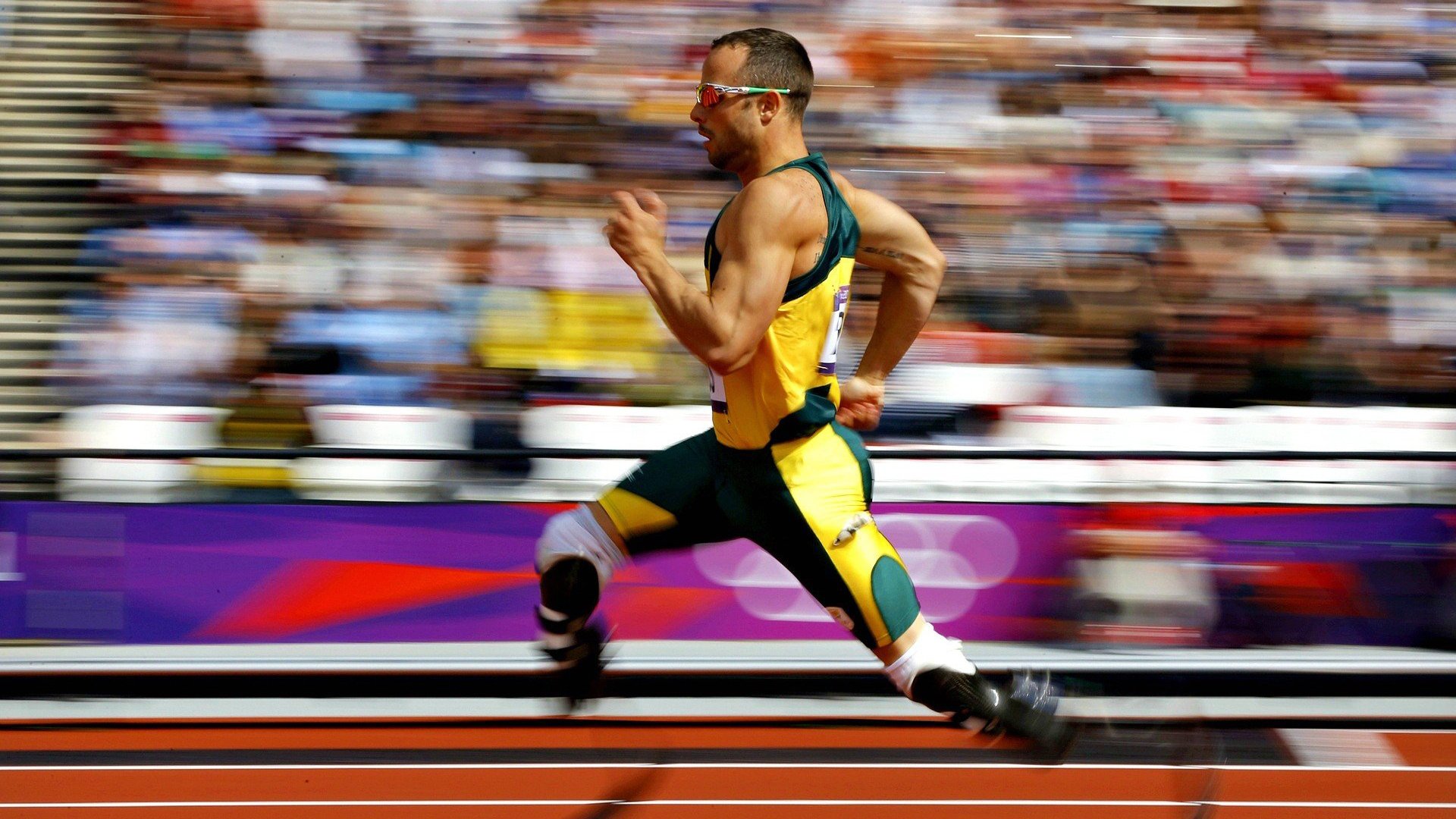 亚历克斯·格林伍德凭借全面的防守技巧，为袋鼠队建立坚实后防